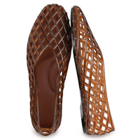 Tortoise Brown